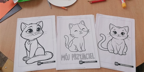 Powiększ grafikę: dzien-kota-675843.jpg