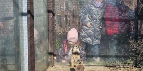 Powiększ grafikę: interesujace-spotkanie-z-kaszubska-kultura-klas-1c-i-3b-649192.jpg