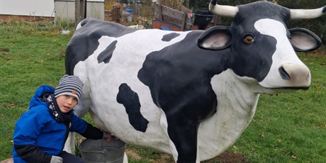 Powiększ grafikę: zagroda-edukacyjna-pod-lipa-658143.jpg