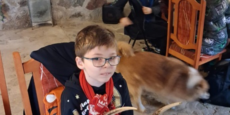 Powiększ grafikę: zagroda-edukacyjna-pod-lipa-658148.jpg