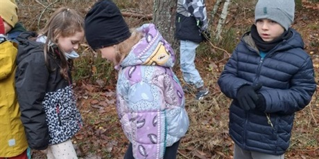 Powiększ grafikę: zagroda-edukacyjna-pod-lipa-658152.jpg