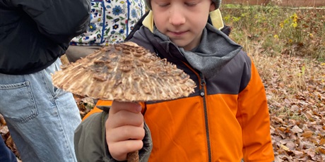 Powiększ grafikę: zagroda-edukacyjna-pod-lipa-658181.jpg