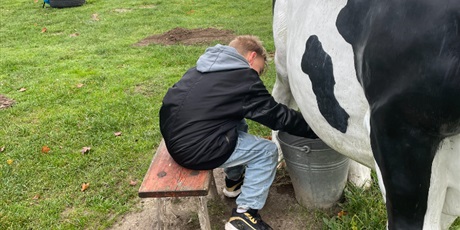 Powiększ grafikę: zagroda-edukacyjna-pod-lipa-658195.jpg