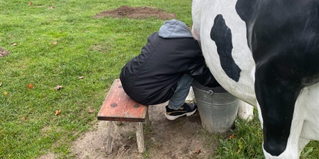 Powiększ grafikę: zagroda-edukacyjna-pod-lipa-658196.jpg