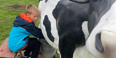 Powiększ grafikę: zagroda-edukacyjna-pod-lipa-658198.jpg