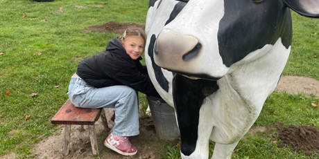 Powiększ grafikę: zagroda-edukacyjna-pod-lipa-658199.jpg