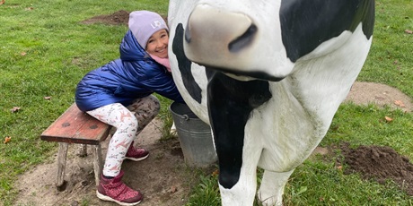 Powiększ grafikę: zagroda-edukacyjna-pod-lipa-658200.jpg