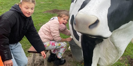 Powiększ grafikę: zagroda-edukacyjna-pod-lipa-658201.jpg