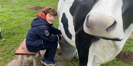 Powiększ grafikę: zagroda-edukacyjna-pod-lipa-658202.jpg