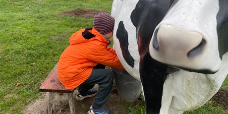 Powiększ grafikę: zagroda-edukacyjna-pod-lipa-658203.jpg