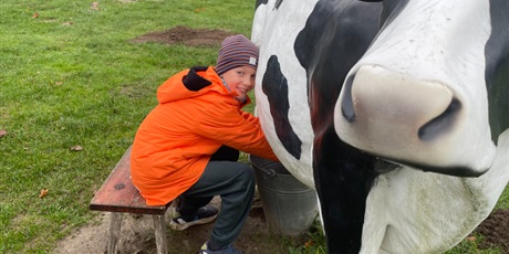 Powiększ grafikę: zagroda-edukacyjna-pod-lipa-658205.jpg