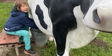 Powiększ grafikę: zagroda-edukacyjna-pod-lipa-658209.jpg