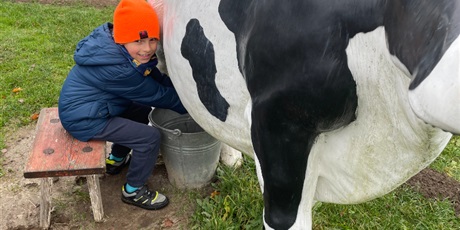 Powiększ grafikę: zagroda-edukacyjna-pod-lipa-658210.jpg