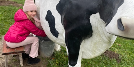 Powiększ grafikę: zagroda-edukacyjna-pod-lipa-658212.jpg