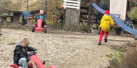 Powiększ grafikę: zagroda-edukacyjna-pod-lipa-658218.jpg