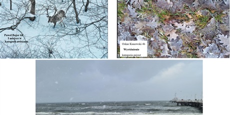 Galeria prac Laureatów konkursu Fotograficznego " Niezwykłe oblicza zimy uchwycone na fotografii"